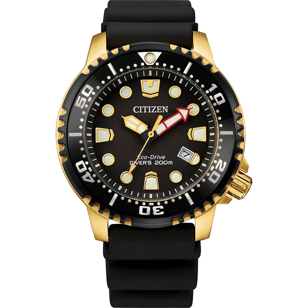 Citizen 61453