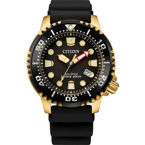 Citizen 61453